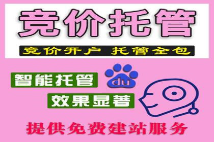 百度竞价SEM案例：如何利用数据分析优化广告效果